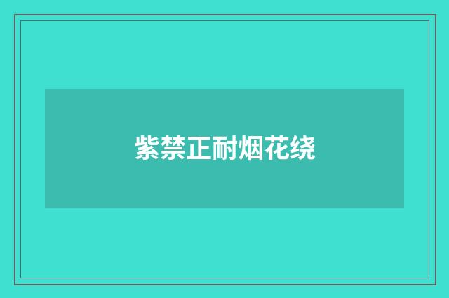 紫禁正耐烟花绕