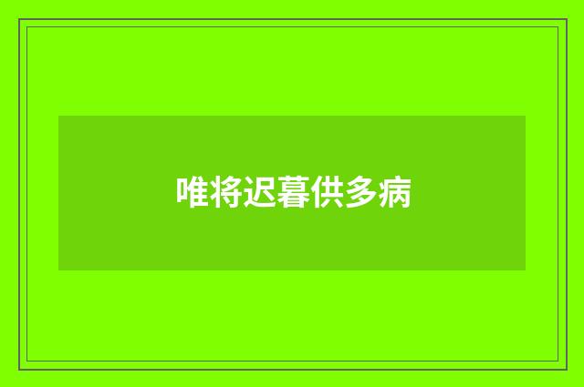 唯将迟暮供多病