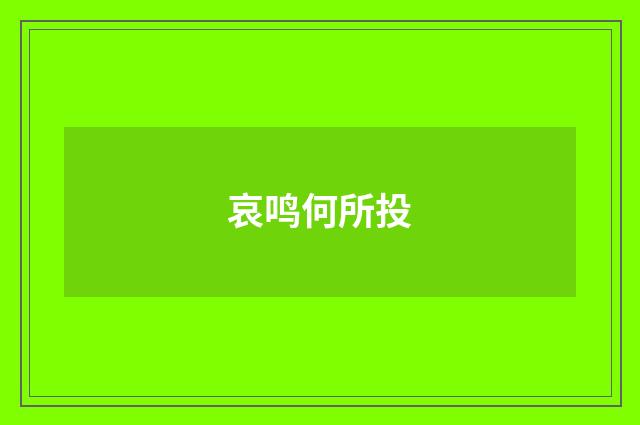 哀鸣何所投