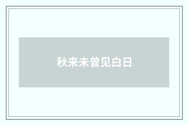 秋来未曾见白日