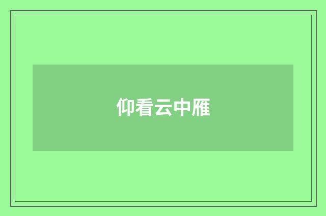 仰看云中雁