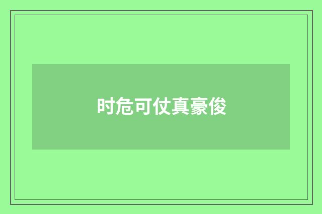 时危可仗真豪俊