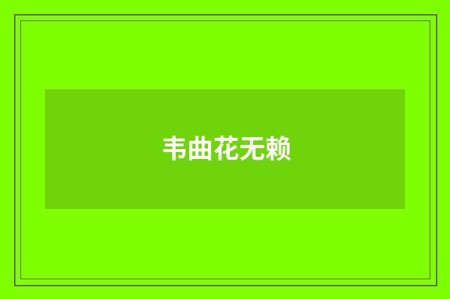 韦曲花无赖