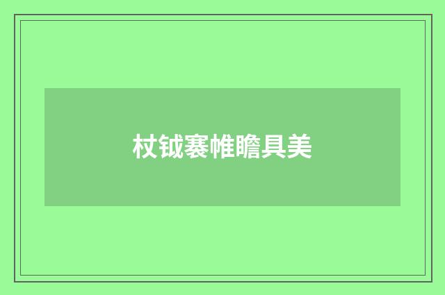 杖钺褰帷瞻具美