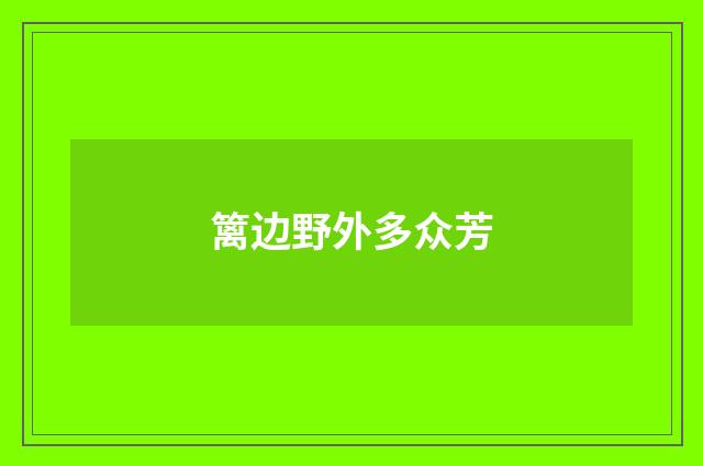 篱边野外多众芳