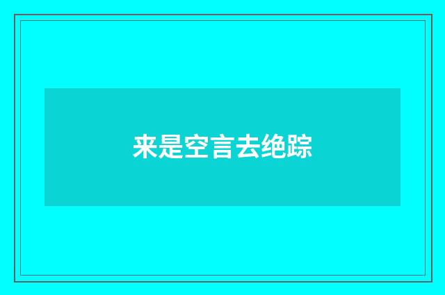 来是空言去绝踪