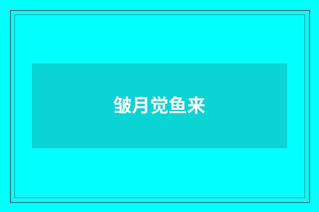 皱月觉鱼来
