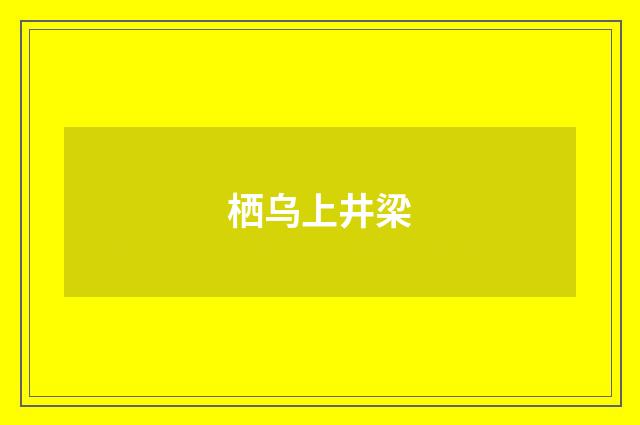 栖乌上井梁
