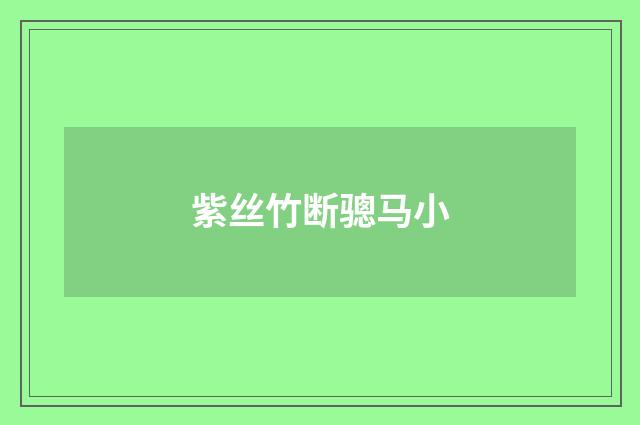 紫丝竹断骢马小