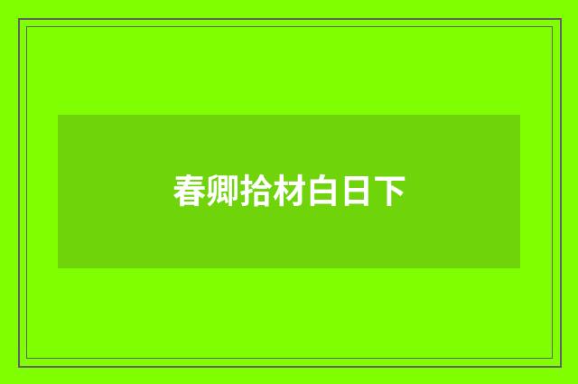 春卿拾材白日下