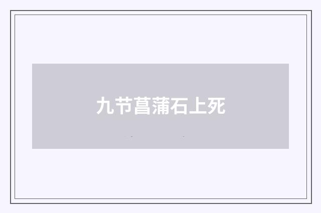 九节菖蒲石上死