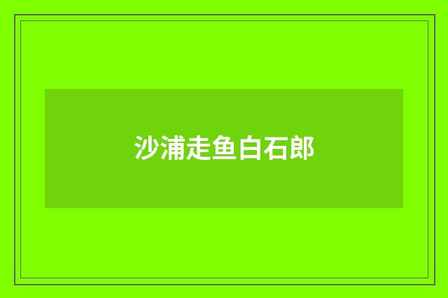 沙浦走鱼白石郎