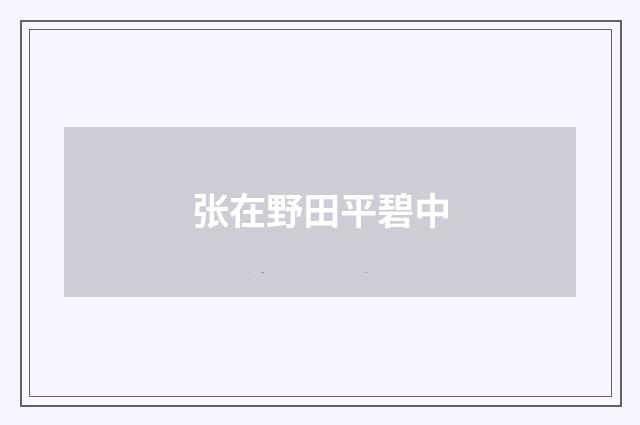 张在野田平碧中