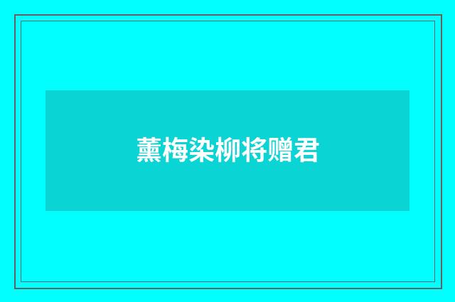 薰梅染柳将赠君