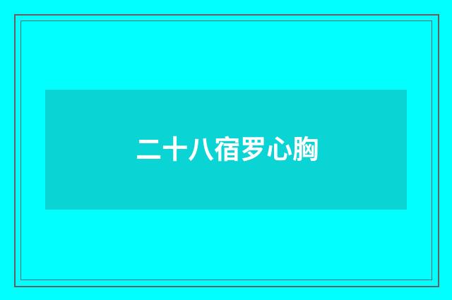 二十八宿罗心胸