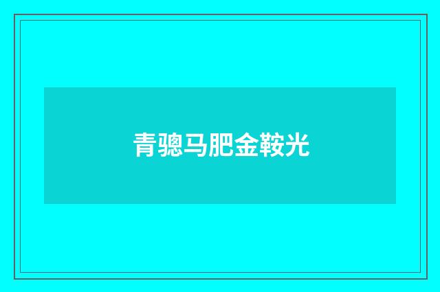 青骢马肥金鞍光
