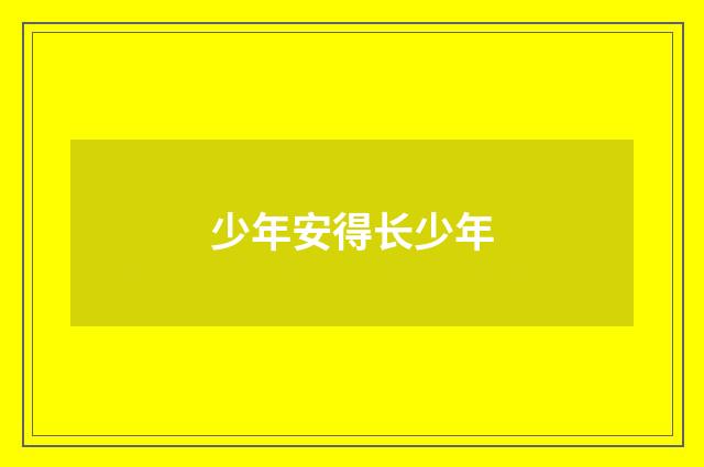 少年安得长少年