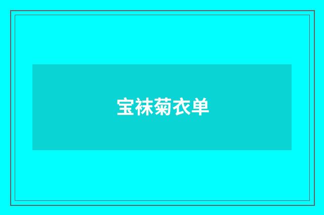 宝袜菊衣单