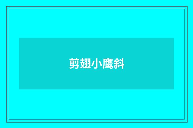 剪翅小鹰斜