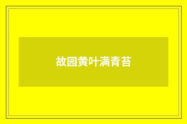 故园黄叶满青苔