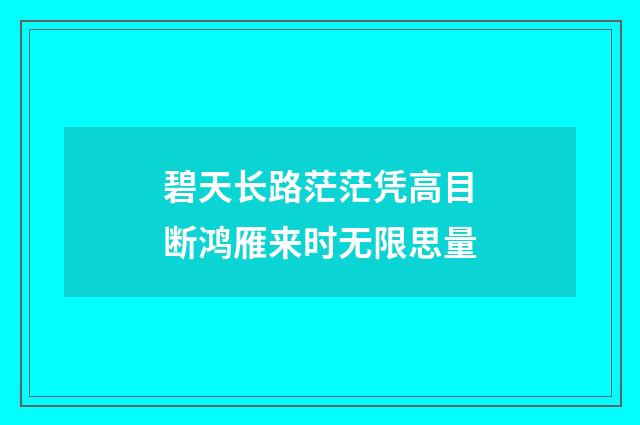 碧天长路茫茫凭高目断鸿雁来时无限思量