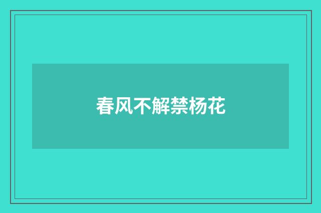 春风不解禁杨花