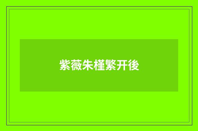 紫薇朱槿繁开後