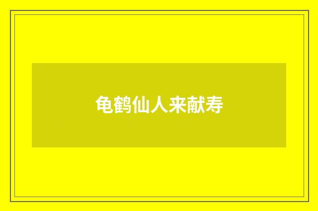 龟鹤仙人来献寿