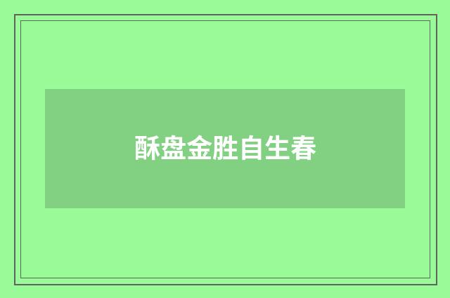 酥盘金胜自生春