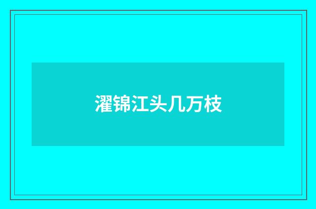 濯锦江头几万枝