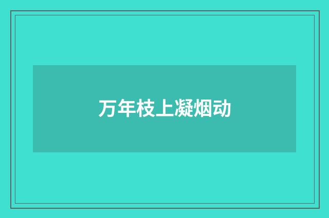 万年枝上凝烟动