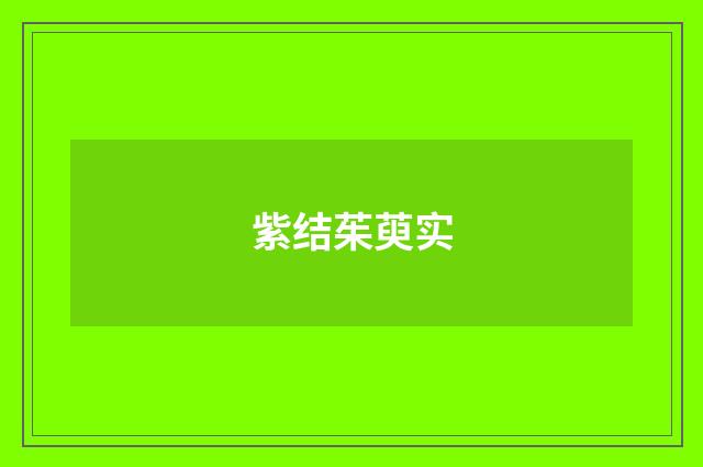 紫结茱萸实