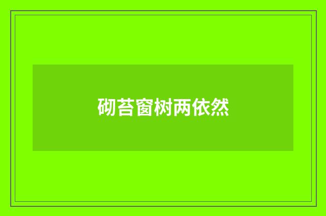 砌苔窗树两依然