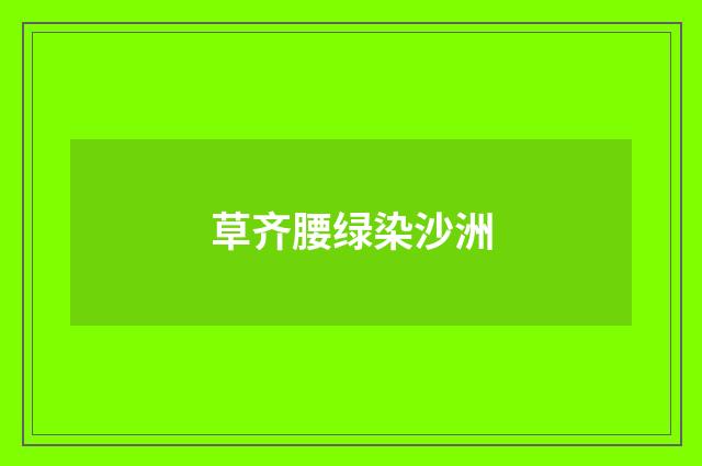 草齐腰绿染沙洲