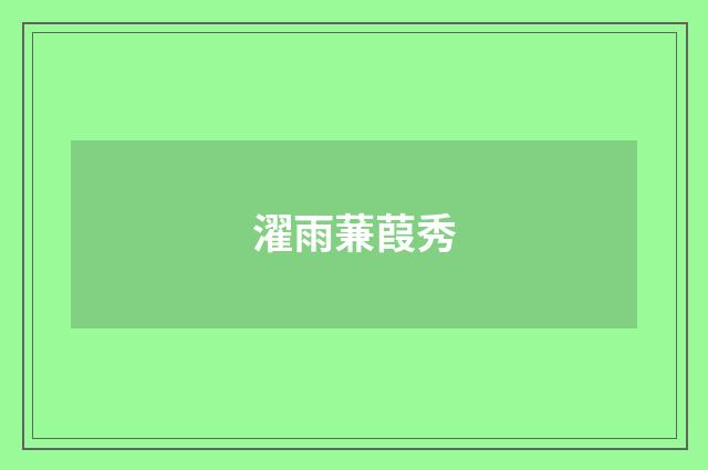濯雨蒹葭秀