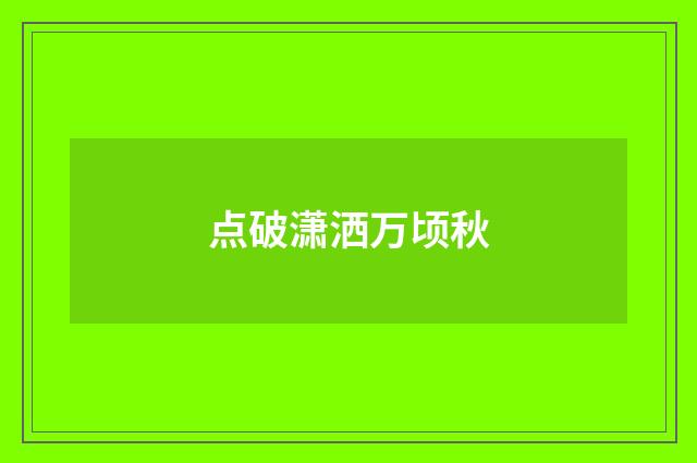 点破潇洒万顷秋