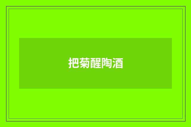 把菊醒陶酒