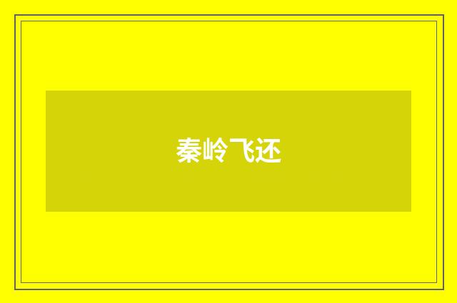 秦岭飞还