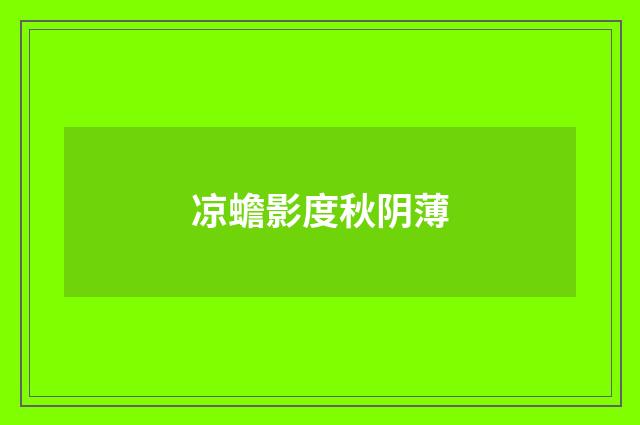 凉蟾影度秋阴薄