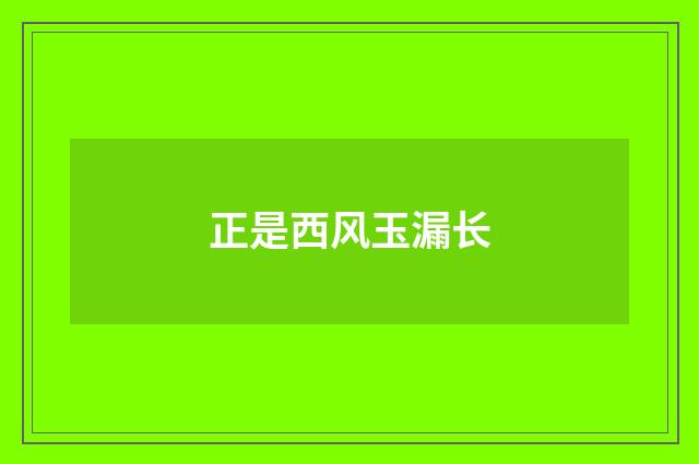 正是西风玉漏长
