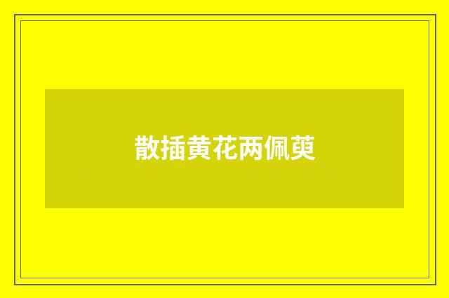 散插黄花两佩萸
