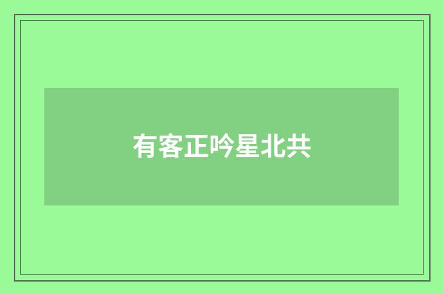 有客正吟星北共