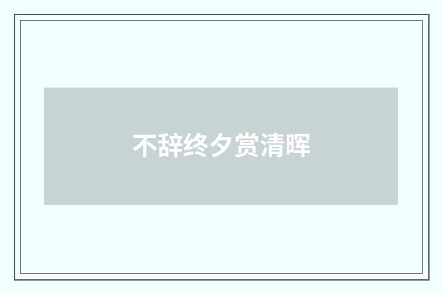 不辞终夕赏清晖