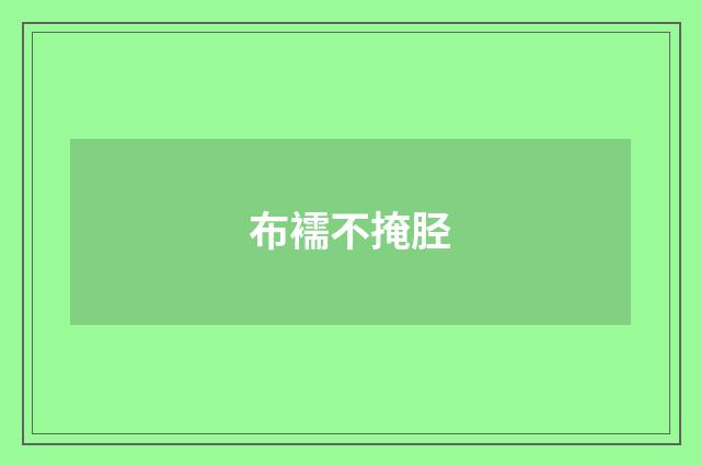布襦不掩胫