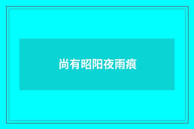 尚有昭阳夜雨痕