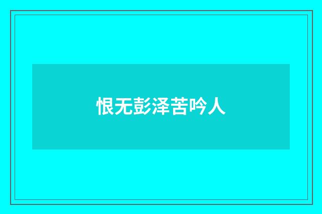 恨无彭泽苦吟人