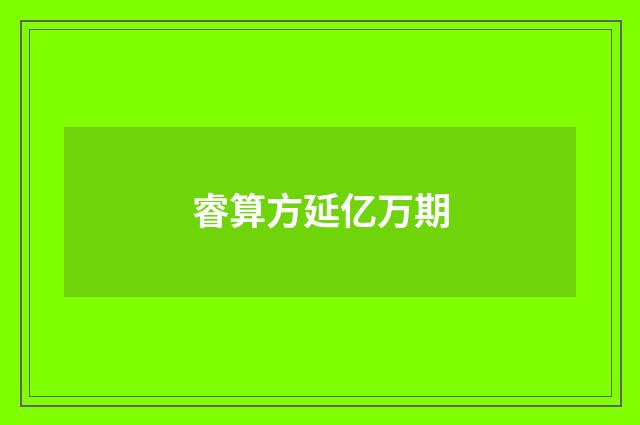 睿算方延亿万期