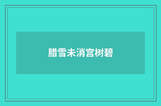 腊雪未消宫树碧