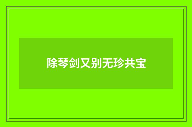 除琴剑又别无珍共宝