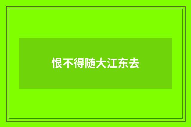 恨不得随大江东去